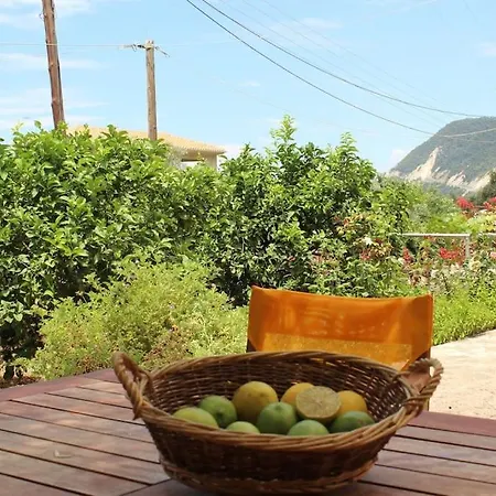 Apartment Lemon Tree 1 *