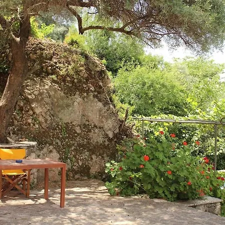 Lemon Tree 1 Apartment *