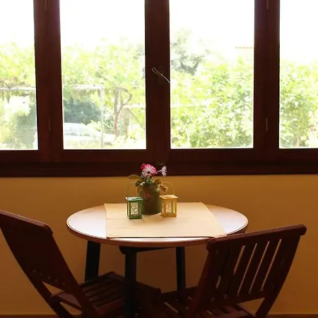 Lemon Tree 1 Apartment *