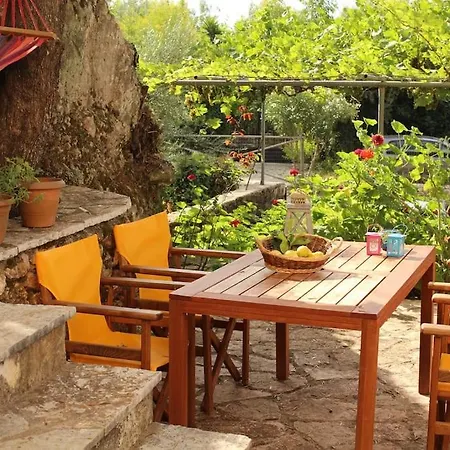 Apartment Lemon Tree 1 *